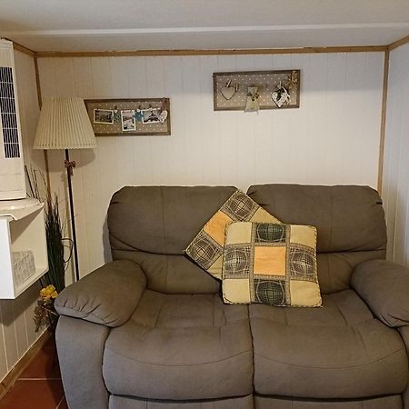 Nonna Lori'S Chalet Pisa Zona Stazione E Aeroporto Ngoại thất bức ảnh