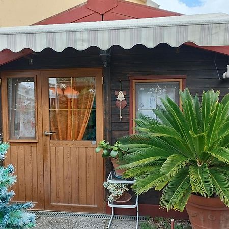 Nonna Lori'S Chalet Pisa Zona Stazione E Aeroporto Ngoại thất bức ảnh